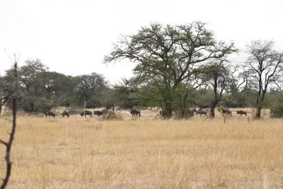 DSC_4082 (Large).JPG